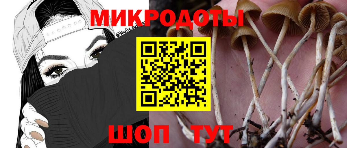 Псилоцибиновые грибы Magic Shrooms  Вход с VPN  Новоуральск  где продают   Псилоцибиновые грибы Cubensis 